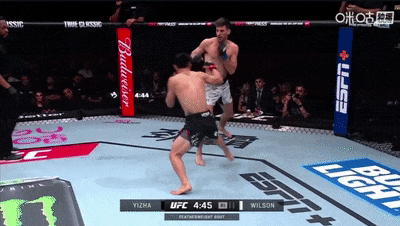 https, 沃克的轻重, 亮上海体育